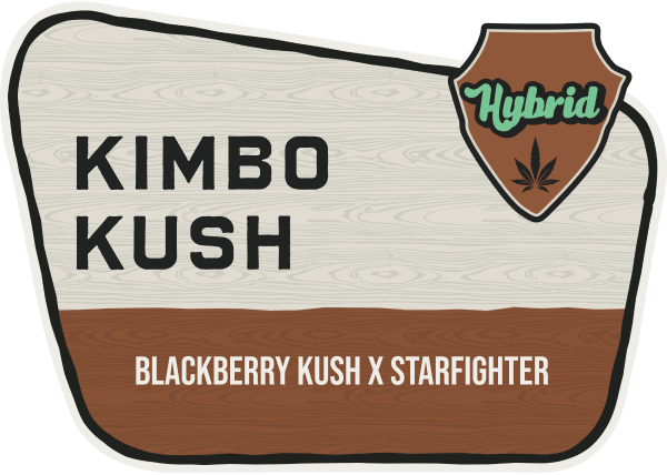 Kimbo Kush