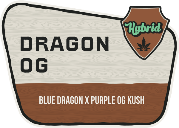 Dragon OG