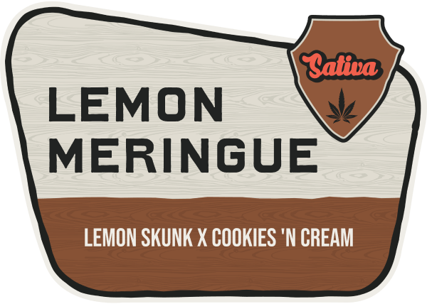 Lemon Meringue